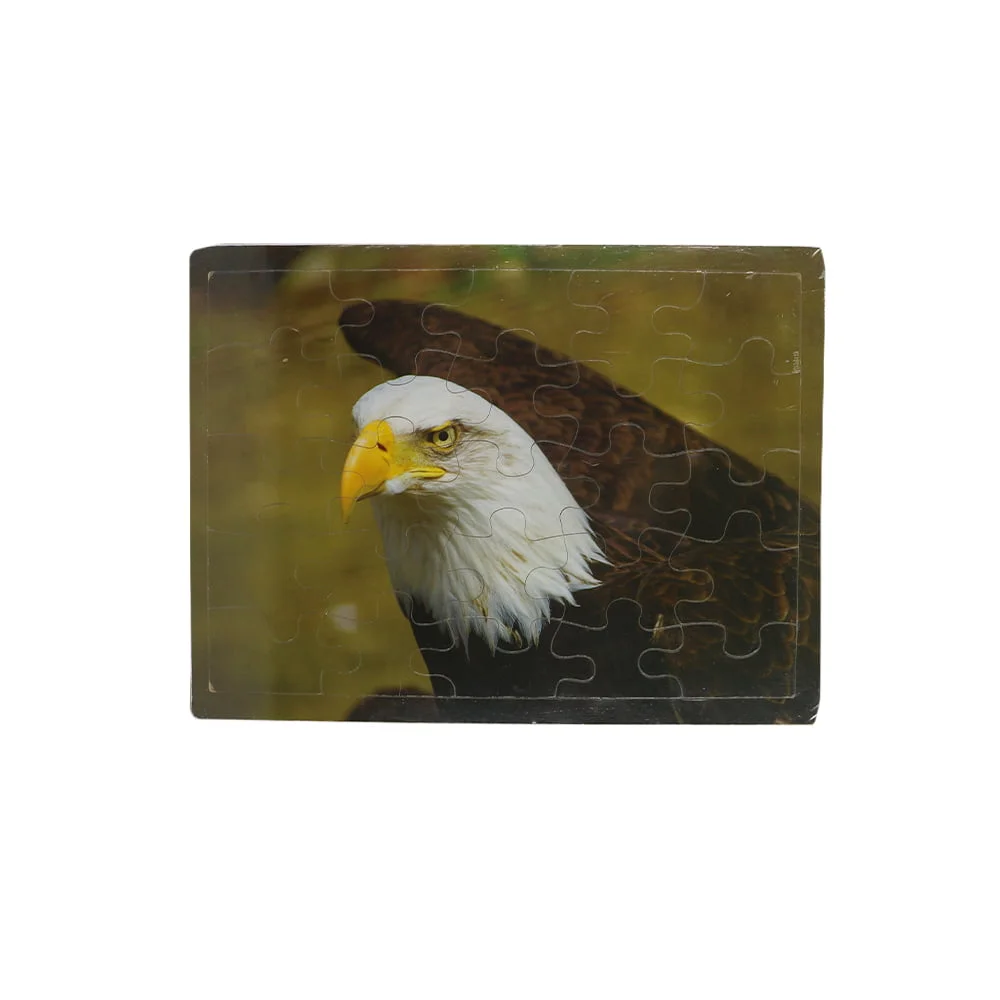 ხის ფაზელი