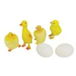 საჭყიპინო იხვები