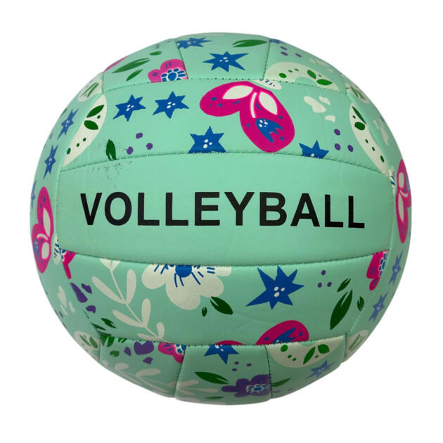 Volleyball Ball 2554923-6