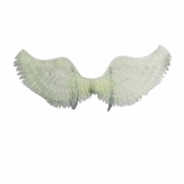 Angel Wings CW-7
