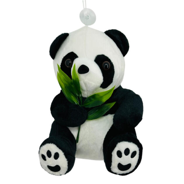 Soft Panda 075223-63