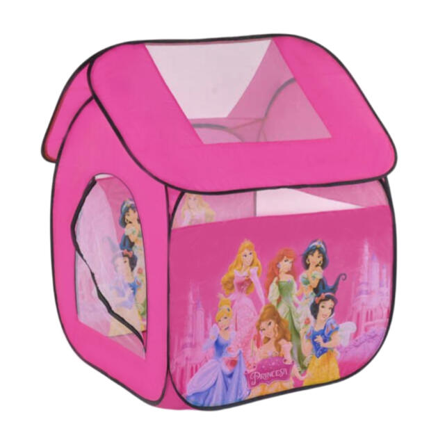 Disney Princess 8009P
