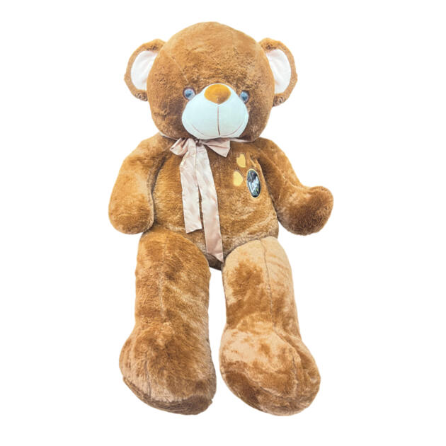 Soft Bear CW-22